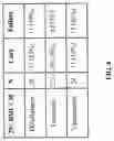 Fig. 07 - METHODS OF TREATING INFECTIONS IN OVERWEIGHT AND OBESE PATIENTS USING ANTIBIOTICS