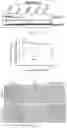 Fig. 07 - Methods of preventing or treating flavivirus virus infections and methods of inhibiting the entry of flvivirus, enterovirus or lentivirus into host cells