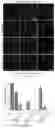 Fig. 12 - Methods of preventing or treating flavivirus virus infections and methods of inhibiting the entry of flvivirus, enterovirus or lentivirus into host cells