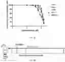 Fig. 14 - Methods of preventing or treating flavivirus virus infections and methods of inhibiting the entry of flvivirus, enterovirus or lentivirus into host cells
