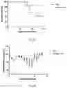 Fig. 15 - Methods of preventing or treating flavivirus virus infections and methods of inhibiting the entry of flvivirus, enterovirus or lentivirus into host cells