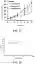 Fig. 07 - Drug carrier and preparation method thereof