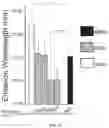 Fig. 14 - METHODS USEFUL IN TREATING CANCERS HARBORING A KRAS OR HRAS MUTATION OR AMPLIFICATION