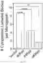 Fig. 18 - METHODS USEFUL IN TREATING CANCERS HARBORING A KRAS OR HRAS MUTATION OR AMPLIFICATION