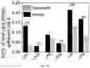 Fig. 20 - METHODS USEFUL IN TREATING CANCERS HARBORING A KRAS OR HRAS MUTATION OR AMPLIFICATION