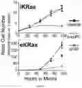 Fig. 22 - METHODS USEFUL IN TREATING CANCERS HARBORING A KRAS OR HRAS MUTATION OR AMPLIFICATION