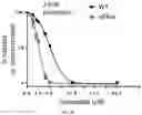 Fig. 27 - METHODS USEFUL IN TREATING CANCERS HARBORING A KRAS OR HRAS MUTATION OR AMPLIFICATION