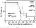 Fig. 28 - METHODS USEFUL IN TREATING CANCERS HARBORING A KRAS OR HRAS MUTATION OR AMPLIFICATION