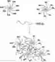 Fig. 01 - FABRICATION OF PROTEIN-ENCAPSULATING MICROGELS
