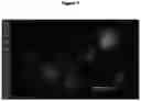 Fig. 07 - FABRICATION OF PROTEIN-ENCAPSULATING MICROGELS