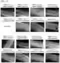 Fig. 08 - Tunable, controlled-release, urethane-containing elastomers and processes of forming the same