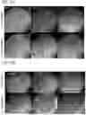 Fig. 14 - Tunable, controlled-release, urethane-containing elastomers and processes of forming the same