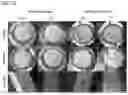 Fig. 15 - Tunable, controlled-release, urethane-containing elastomers and processes of forming the same
