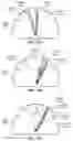 Fig. 12 - COORDINATING RESPIRATORY AND CARDIOVASCULAR HEMODYNAMICS