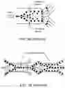 Fig. 02 - Acoustic Separation of Biological Entities by Microfluidic Devices