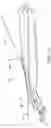 Fig. 08 - Razor handle with movable members