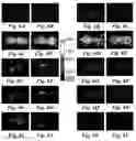Fig. 07 - PSMA-targeting compounds and uses thereof