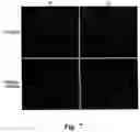 Fig. 08 - PSMA-targeting compounds and uses thereof