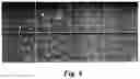 Fig. 09 - PSMA-targeting compounds and uses thereof