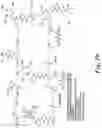 Fig. 22 - PSMA-targeting compounds and uses thereof