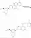 Fig. 294 - CD73 INHIBITORS