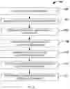 Fig. 09 - COMPOSITIONS AND METHODS FOR BLOOD ANEMIA DETECTION