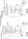 Fig. 10 - Written word refinement system and method for truthful transformation of spoken and written communications