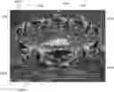 Fig. 01 - Systems and methods for image display