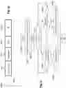 Fig. 07 - Temporary aids for unassociated stations in communication networks