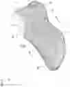 Fig. 02 - Shoe