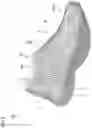 Fig. 03 - Shoe