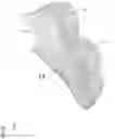 Fig. 10 - Shoe