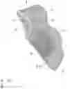 Fig. 11 - Shoe