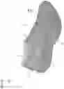 Fig. 14 - Shoe