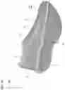 Fig. 17 - Shoe