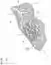 Fig. 24 - Shoe