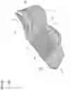 Fig. 25 - Shoe