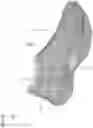 Fig. 26 - Shoe