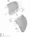 Fig. 28 - Shoe