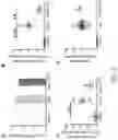 Fig. 06 - ACETYLCHOLINE MODULATION OF IMMUNE FUNCTION