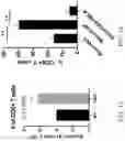 Fig. 12 - ACETYLCHOLINE MODULATION OF IMMUNE FUNCTION