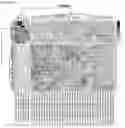 Fig. 15 - LEUKAEMIC STEM CELLS
