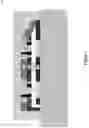 Fig. 02 - Capacitive pressure sensor device including lower and upper electrodes