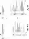 Fig. 04 - Domain-specific language interpreter and interactive visual interface for rapid screening