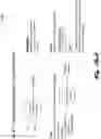 Fig. 21 - Domain-specific language interpreter and interactive visual interface for rapid screening