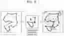 Fig. 10 - Method and device of inputting annotation of object boundary information