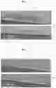 Fig. 04 - APPARATUS FOR DEPOSITING TWO-DIMENSIONAL MATERIALS