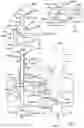 Fig. 10 - Arrangement for Transporting a Liquid Through a Cannula System, Corresponding Kit and Method