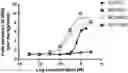 Fig. 01 - MODIFIED MULTIMERIC BICYCLIC PEPTIDE LIGANDS
