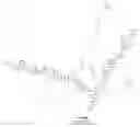 Fig. 19 - MODIFIED MULTIMERIC BICYCLIC PEPTIDE LIGANDS